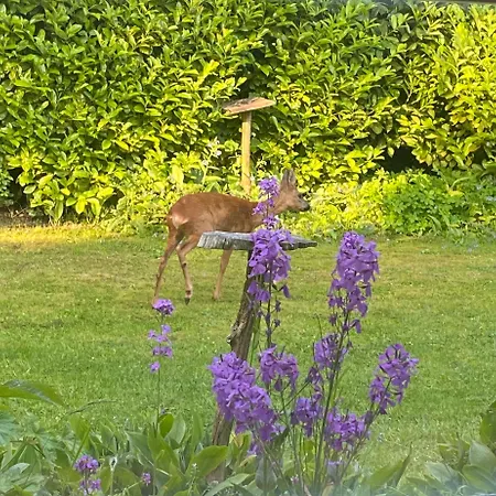 Poldersbos 7 - Not Intended For Company Or Work-related *