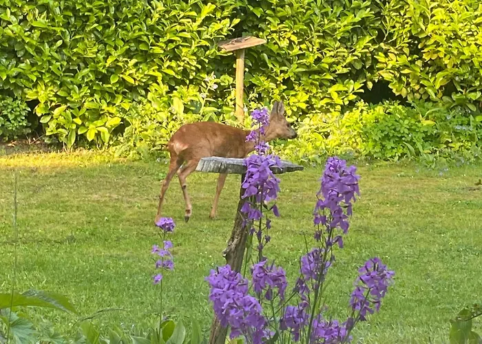 Poldersbos 7 - Not Intended For Company Or Work-related *