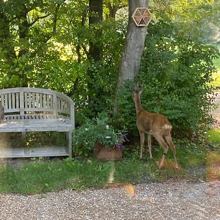 Poldersbos 7 - Not Intended For Company Or Work-related 우도르프